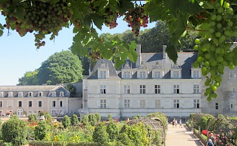 Loire a Velo: Orleans to the Atlantic - a Bike Tour of Chateaux in France!