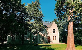 House in Angers, France. Unsplash:Anthony Delanoix