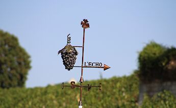Weathervane, Chinon, France. Unsplash:Merve Sehirli Nasir