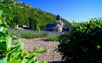 A small building in lavender fields, Provence, France. Unsplash:James Orr