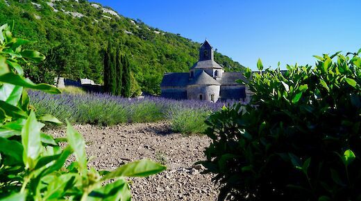 4 night  self guided bike tour in France