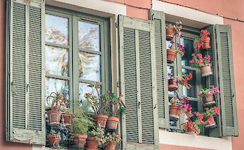 Flowers outside windows in Nimes, France. Unsplash:Hugues de Buyer Mimeure