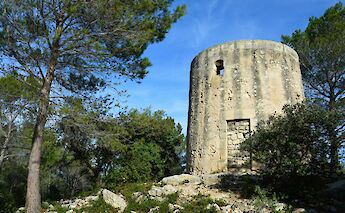 Moulin à vent Ramet, Fontvieille, France. Unsplash:Slim MARS