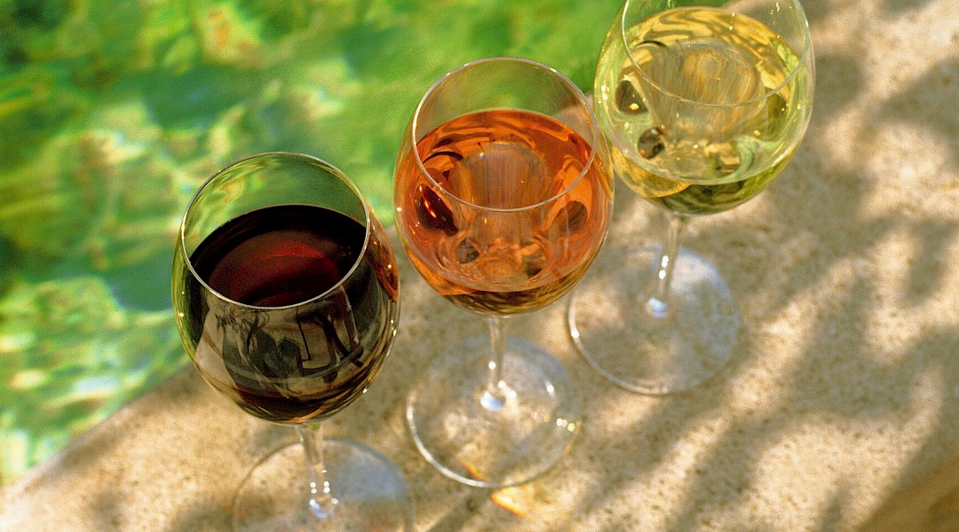 Vins de Provence wine-tasting. Photo vinhosprovence (photo:flvinhosprovence_wine_tasting) CC-BY-ND-2.0