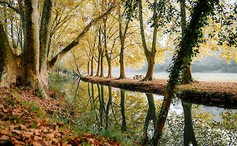 Reflections of trees in the water, Uzes, France. Unsplash:Mathieu Odin