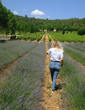 Woman walking through lavender fields, Provence, France. Unsplash:Chen Mizrach