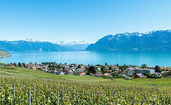 Houses beside Lake Geneva, Switzerland. Unsplash:Gabriel Garcia Marengo