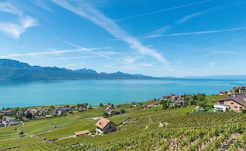 Vineyards next to Lake Geneva, Switzerland. Unsplash:Gabriel Garcia Marengo