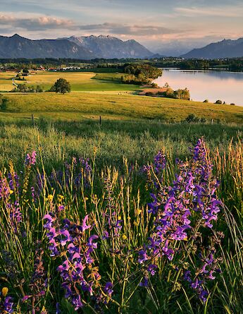 Bavarian countryside! Mario Dobelmann@Unsplash