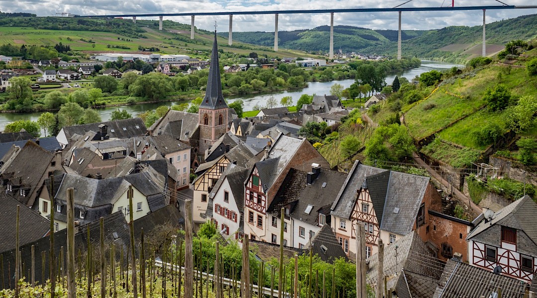 Riesling Vineyards in Rhineland-Palatinate, Germany! Alexander Schimmeck@Unsplash