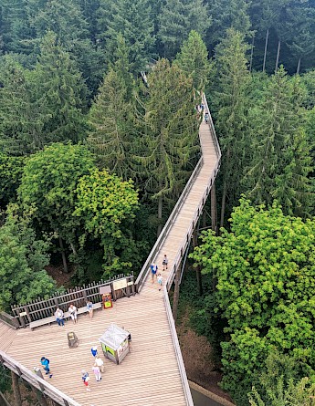 Mettlach, Germany. Thibault Milan@Unsplash