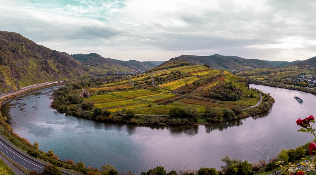 A bend in the Mosel river below terraced vineyard slopes