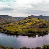 Mosel River Valley Bike Tour. Error420@Unsplash