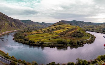 Mosel River Valley Bike Tour. Error420@Unsplash