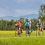 Cycling through fields, Bavaria, Germany. CC:TO