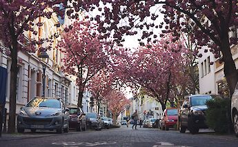 Biking in Bonn, Germany in Springtime. Tim Rüßmann@Unsplash