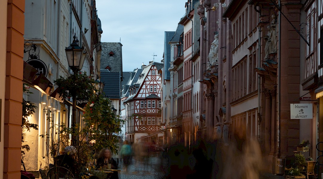 Rhine Bike Path Mainz to Cologne