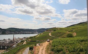 Rüdesheim, Germany. Noah Boyer@Unsplash