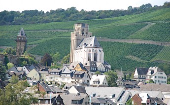 Vineyards along the Rhine River! JMFisher@Unsplash