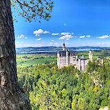 Neuschwanstein Castle viewed from a hill, Bavaria, Germany. Unsplash@Mark Gambles