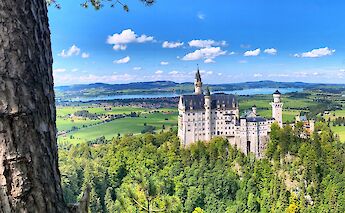Neuschwanstein Castle viewed from a hill, Bavaria, Germany. Unsplash@Mark Gambles