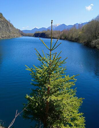 View from Murnau, Germany. Unsplash@Kurt Hanel