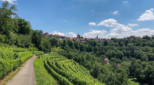 Rothenburg ob der Tauber, Germany. Daniel Dumbrava@Unsplash