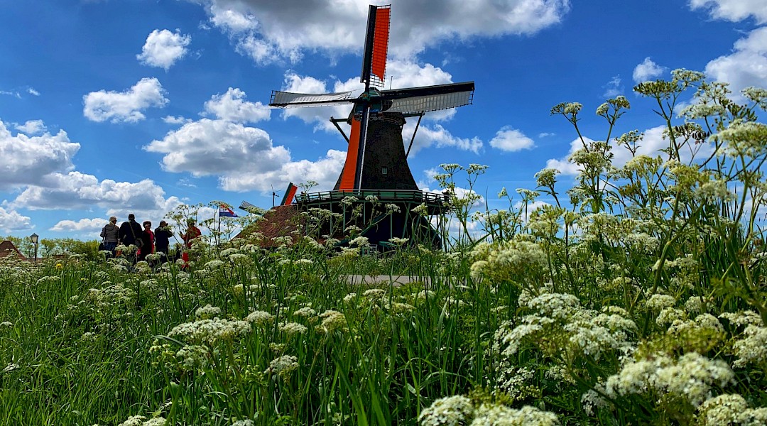 Zaanse Schans, Zaandam, North Holland, the Netherlands. ASwathyn@Unsplash