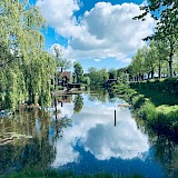 Zaandam, the Netherlands. Aswathyn, Unsplash