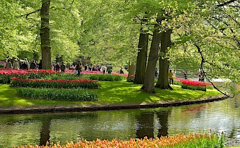 Keukenhof, Lisse, South Holland, the Netherlands. CC:ngocchat1014