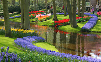 Keukenhof, Lisse, the Netherlands.
