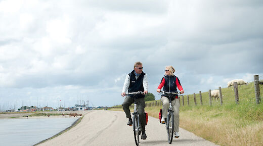 Cycling the flat bike paths in the Netherlands!