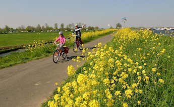 Holland’s Southern Relax Tulip Boat Bike Tour