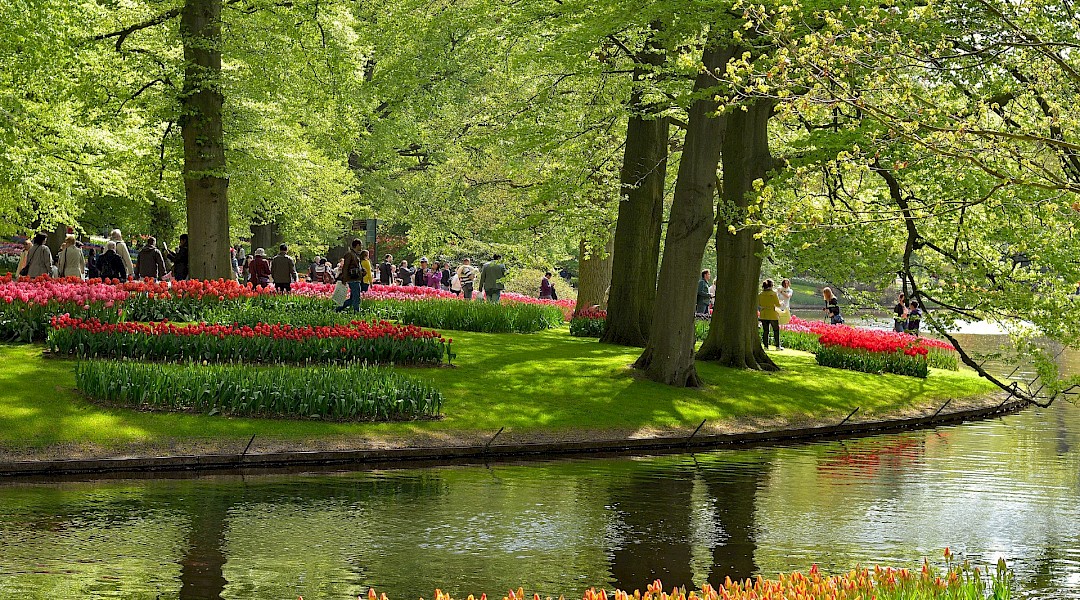 Holland’s Southern Relax Tulip Tour