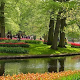 Holland’s Southern Relax Tulip Tour