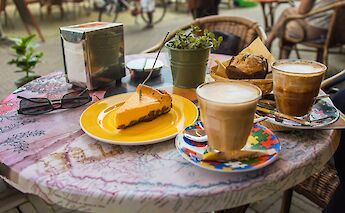 Holland's Southern Boat & Bike Tour