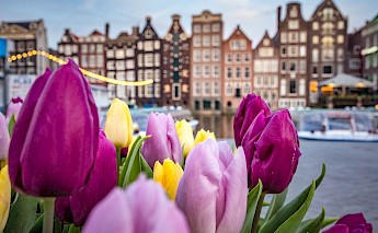 Amsterdam, North Holland, the Netherlands.  Catalina Fedorova@Unsplash