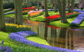 Holland's Super Tulip Bike Tour