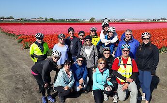 Holland's Super Tulip Bike Tour