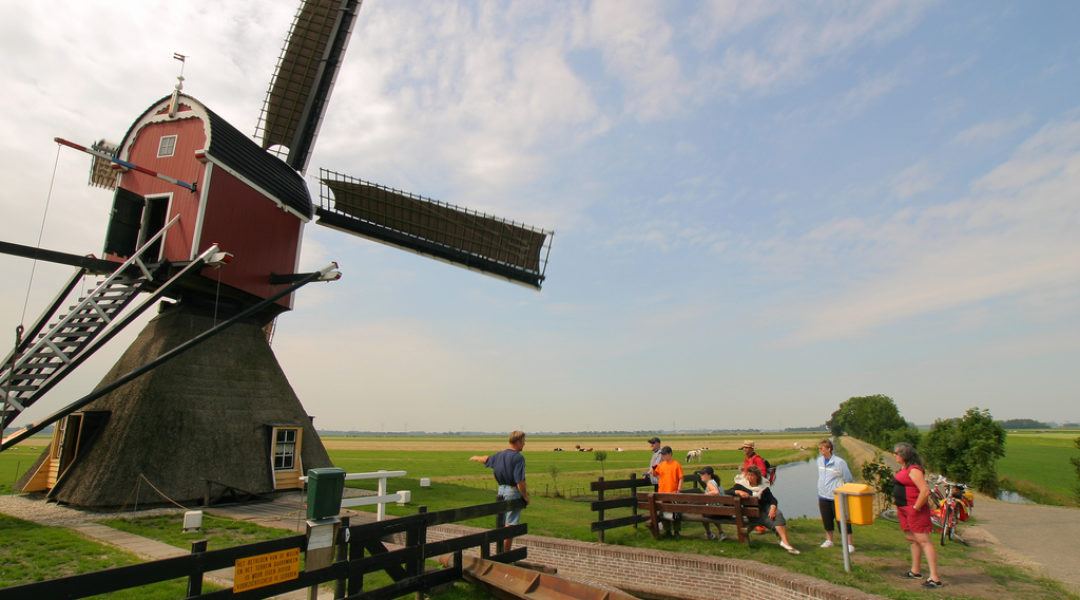 Cycling & seeing the windmills of Holland!