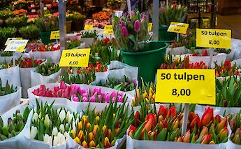 Tulips for sale in Amsterdam, North Holland, the Netherlands. Guillen Perez@Flickr