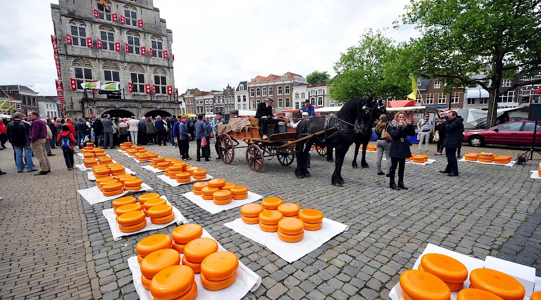 Gouda's famous Cheese Market in South Holland, the Netherlands. CC:Ralf Roletschek