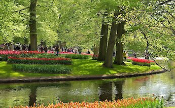 Blooming flowers at the Keukenhof, near Lisse, the Netherlands. CC:Ngocchat1014