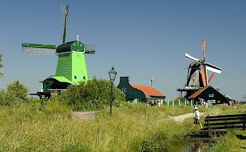 Biking Holland's Tulip Tour