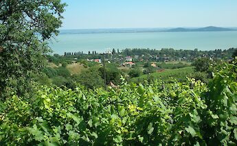 Badacsony, Hungary. LinuxMaster Club@Flickr