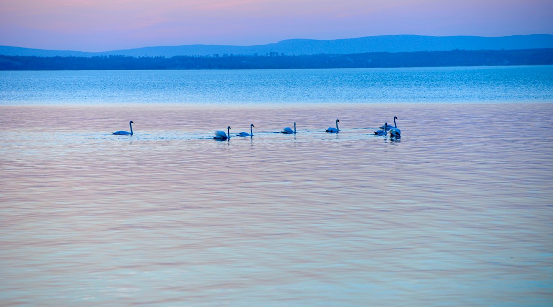 Lake Balaton, Hungary. Szabolc Svarnai@Unsplash