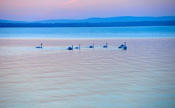 Lake Balaton, Hungary. Szabolc Svarnai@Unsplash