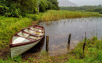 By Kylemore Abbey, Connemara, County Galway, Ireland. Mick Haupt@Unsplash