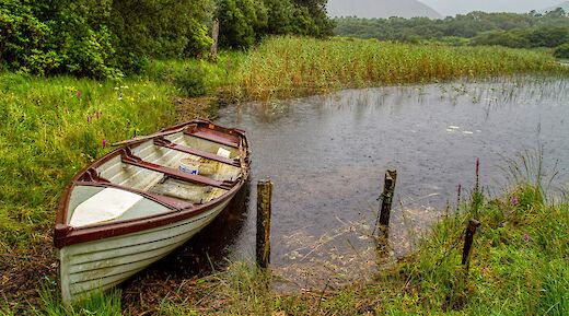 By Kylemore Abbey, Connemara, County Galway, Ireland. Mick Haupt@Unsplash