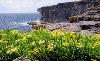 Aran Islands, County Galway, Ireland. Seb Mooze@Unsplash